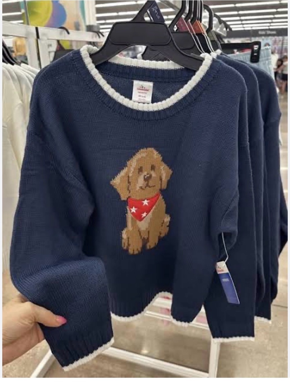 Way to Celebrate Women’s Girls Navy Dog Intarsia Crewneck Sweater - Women 14/16